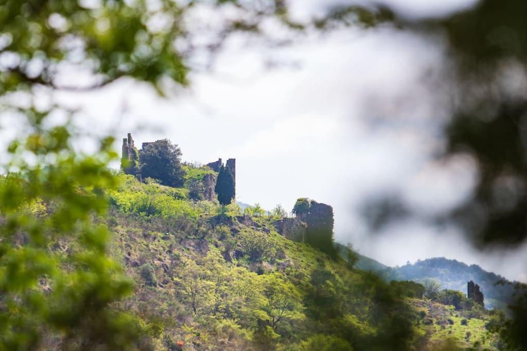 Villa Blanche, Contemporary, Cathars, Couiza, Carcassonne ภายนอก รูปภาพ