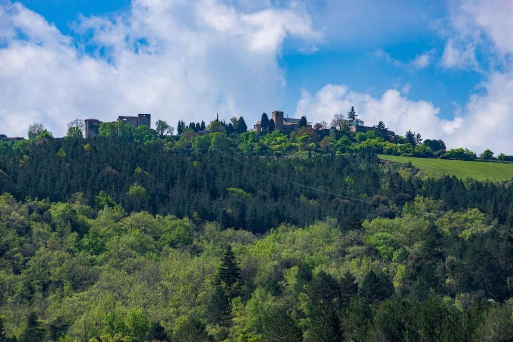 Villa Blanche, Contemporary, Cathars, Couiza, Carcassonne ภายนอก รูปภาพ
