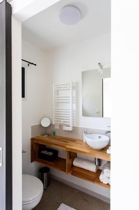 Villa Blanche, Contemporary, Cathars, Couiza, Carcassonne ภายนอก รูปภาพ