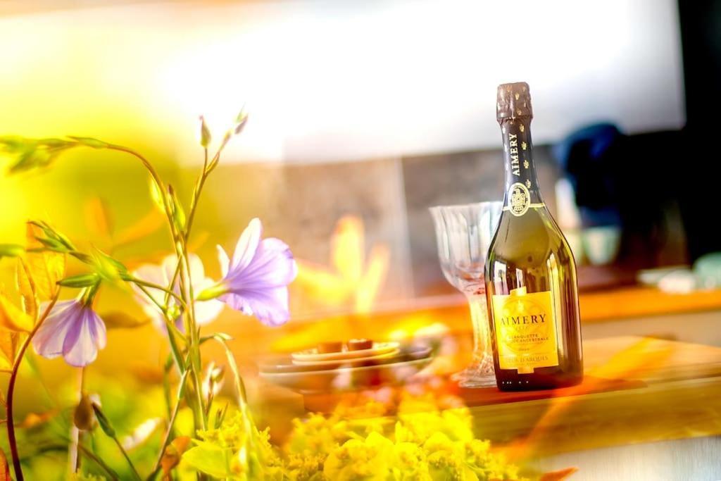Villa Blanche, Contemporary, Cathars, Couiza, Carcassonne ภายนอก รูปภาพ
